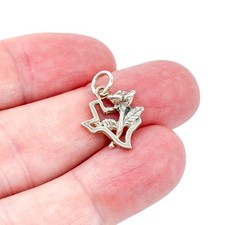 Ciondolo Estate USA argento