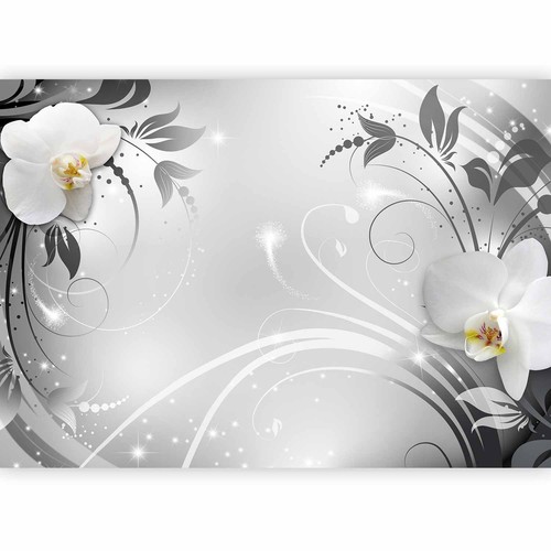 Fotomurale tessuto non - ,