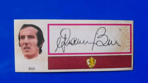 Figurine calciatori panini - figurine,