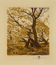 Cottonwoods By Gustave Baumann