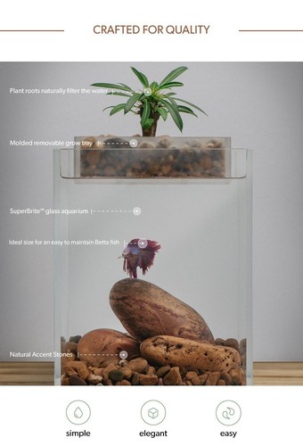 Kickstarter ecoxotic vita - ecoxotic,