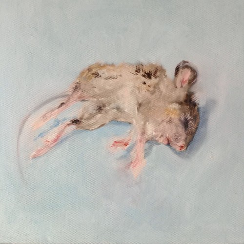Dipinto olio topo morto - , su