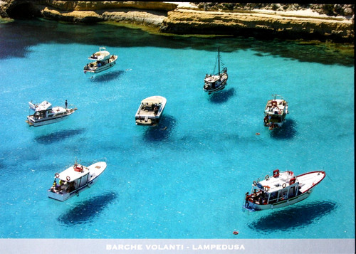 Cartolina collezione - cartolina,