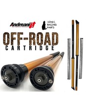 125/H02 CARTUCCIA ANDREANI