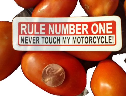 Adesivo never touch moto - adesivo,