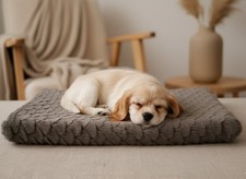 Cuccia Per Cane e Gatto Deluxe