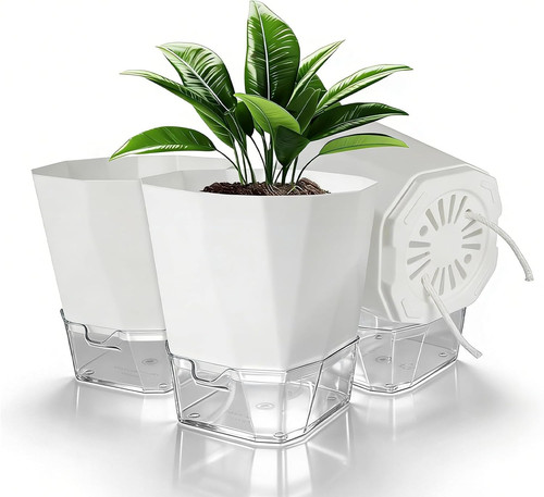Vaso autoirrigante set - autoirrigante,,