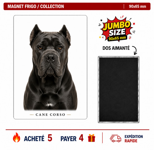 Magnet cane corso 90x65 - cane,