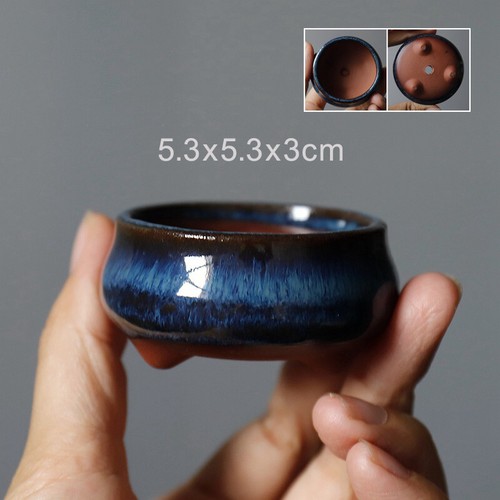 Vaso bonsai mini mame tondo - ,