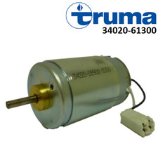 TRUMA 12V DC Boiler
