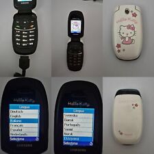 CELLULARE SAMSUNG SGH C520
