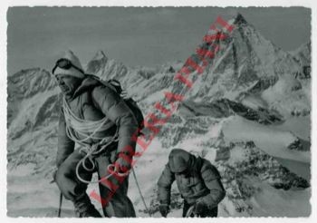 Himalaya achille - himalaya,