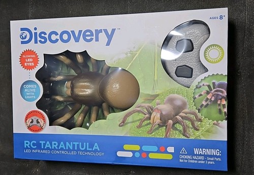 Discovery tarantola spider - discovery,