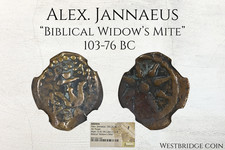 Acaro biblico della vedova •