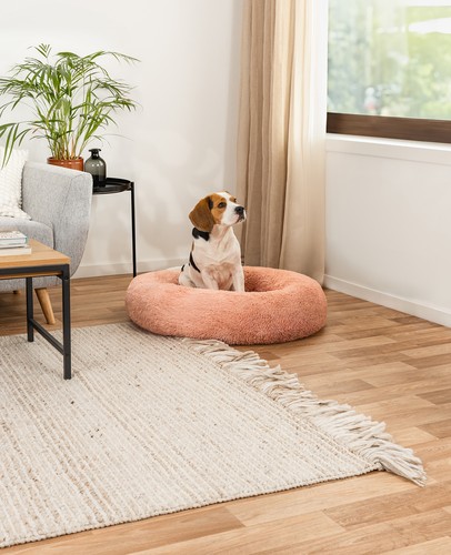 Lionto letto per cani - letto,
