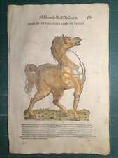 MATTIOLI MATTHIOLI Erbario a