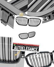 Griglia Reni doppia barra