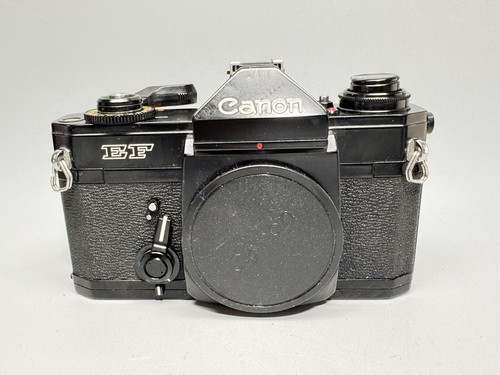 Canon fotocamera reflex - ef,