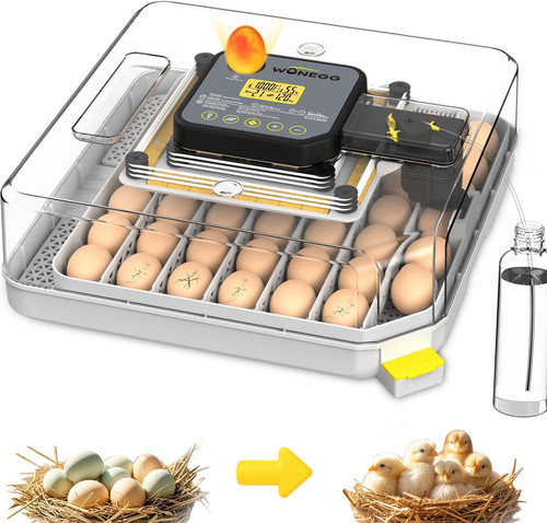 Egg incubator incubators - incubator, for