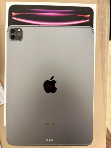 Ipad pro gen 256 wi - gen,