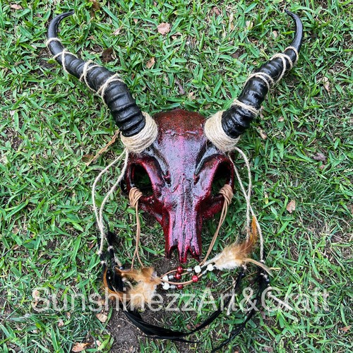Teschio capra animale - di,