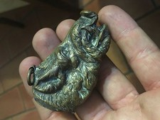 Pirogeno Testa Da Cinghiale