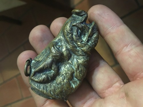 Pirogeno testa cinghiale - testa, da