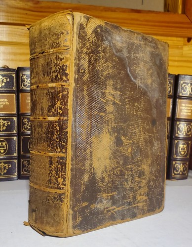 Rare greek english lexicon - *rare*,