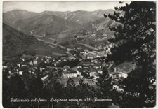 PALAZZUOLO SUL SENIO - FIRENZE - PANORAMA - VIAGG. 1955 -78210-