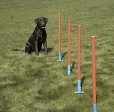 Easy Assemble Dog Pet Agility