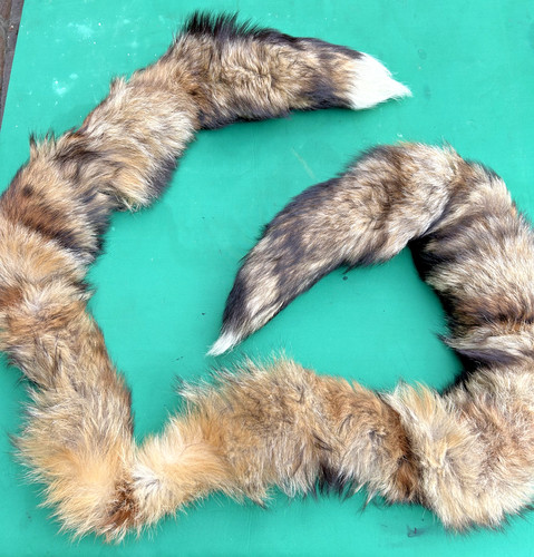 Collo pelliccia volpe - pelliccia,