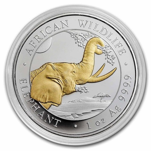 Somalia elefante dorato oz - elefante,