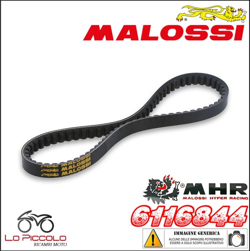 6116844 cinghia belt - 6116844,