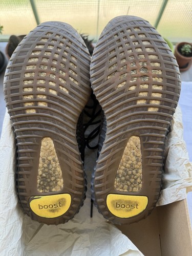 Adidas yeezy 350 cinder 3 - yeezy,