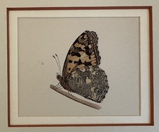 FARFALLE CROMOLITOGRAFIA