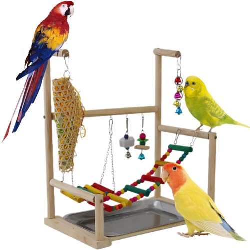 Pappagallo parco giochi - , scala