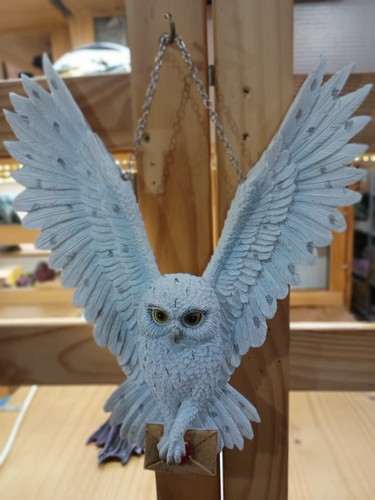 Owl chouette búho eule - owl,