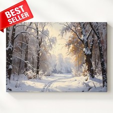 Foresta Invernale Serena Neve