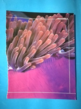 RITAGLIO DI GIORNALE CLIPPING