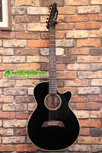 Chitarra acustica elettrica - chitarra, acustica-elettrica