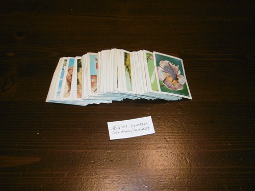 Lotto 164 figurine - lotto, album