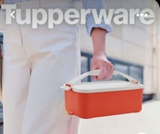 Tupperware Contenitore Rettangolare Pic Nic Ermetico / porta pranzo 