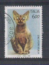 1993 - LOTTO/7009CU - REPUBBLICA - GATTO DEVON REX - USATO