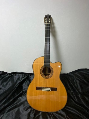 Chitarra elettrica artigianale