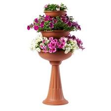 CIOTOLE TRIS TREVY BAMA  PP