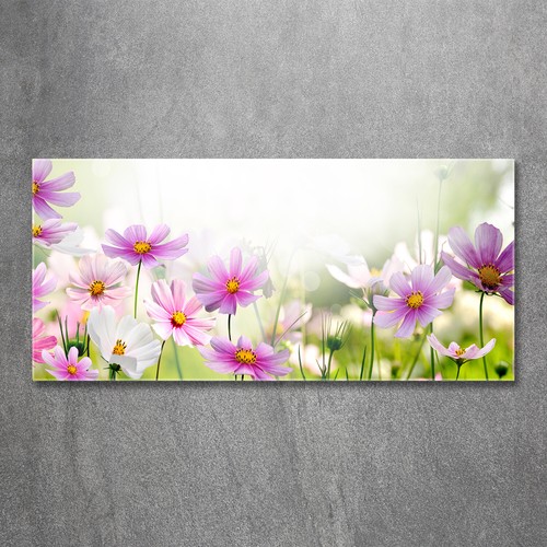Quadro immagine arte parete - da,