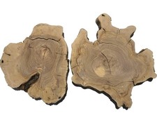 Legno radica di ulivo - di,