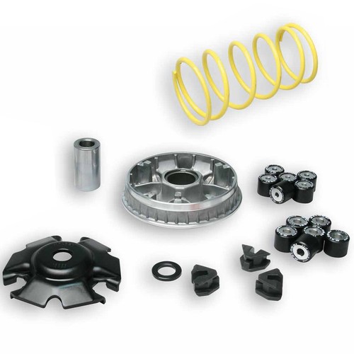 Variatore multivar malossi per - variatore,