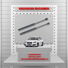 2 MOLLE A GAS BAGAGLIAIO AUDI