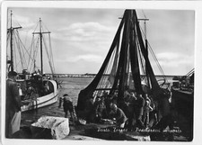 Sardegna, 1958 , Porto Torres ,Pescherecci , animatissima , VGT